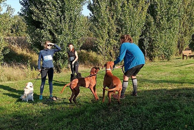 Cross Dog Race- együtt versenyeztek gazdik és kutyusok Kamocsán